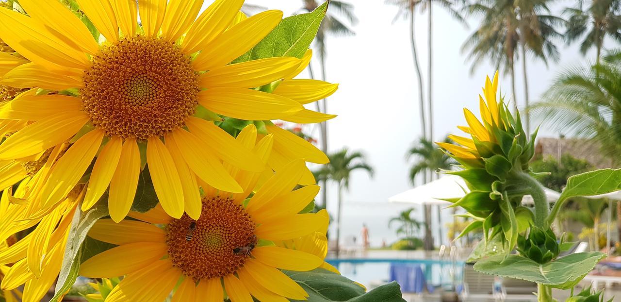 Khu nghỉ dưỡng bãi biển Sun&Sands Mũi Né Ngoại thất bức ảnh
